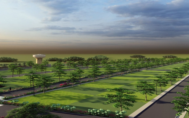DLF plots image